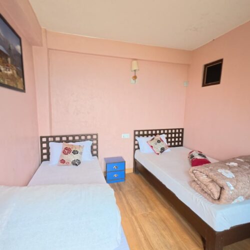 Egyptian Vulture Room