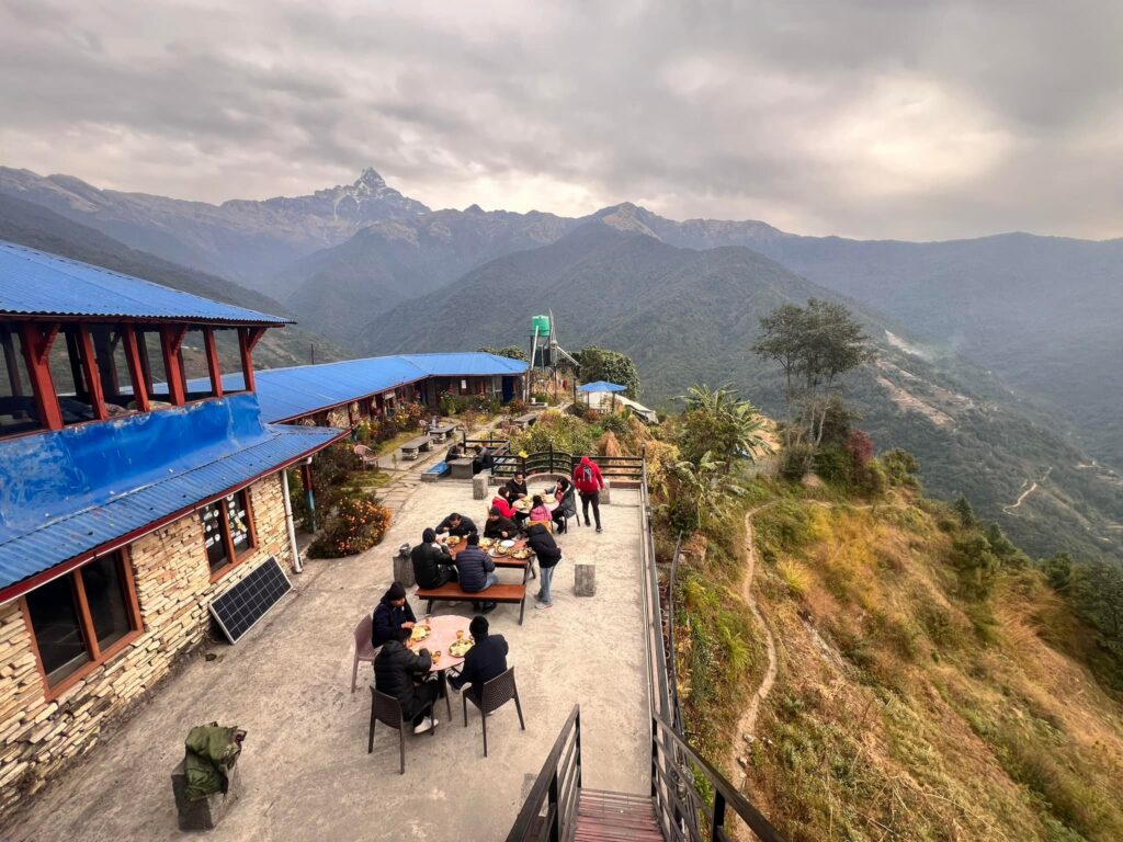 Savoring Organic Delights at Mardi Himal Eco-Village