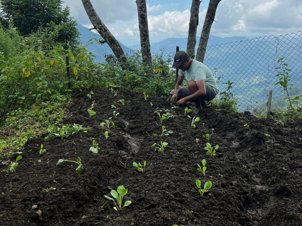 Immersing in Rural Life at Mardi Himal Eco-Village